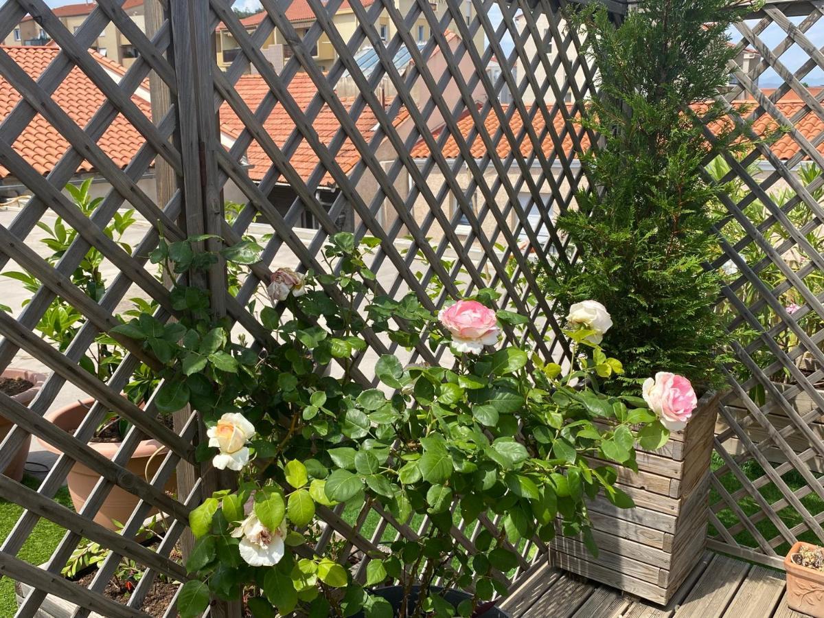 Le Patio Pere Pigne Guestroom Perpignan Dış mekan fotoğraf